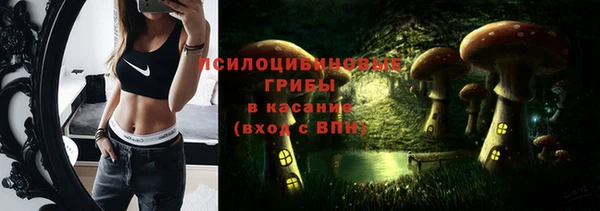ГАЛЛЮЦИНОГЕННЫЕ ГРИБЫ Балабаново