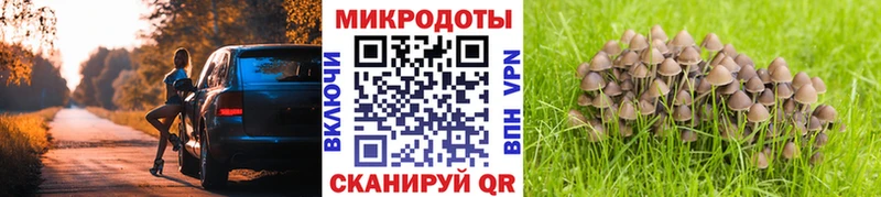 Псилоцибиновые грибы Magic Shrooms  мориарти клад  Шагонар  купить   МЕГА как зайти 
