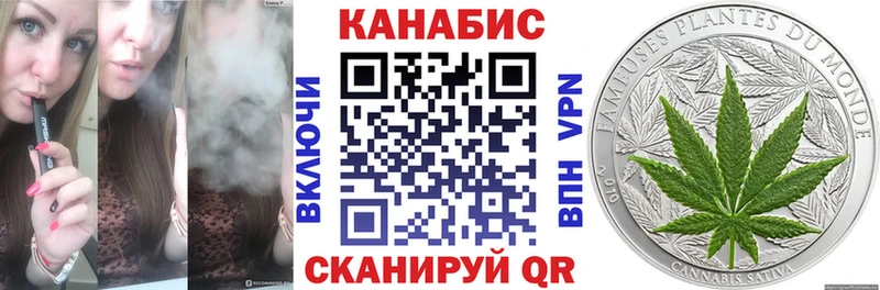 Конопля SATIVA & INDICA  продажа наркотиков  Шагонар 
